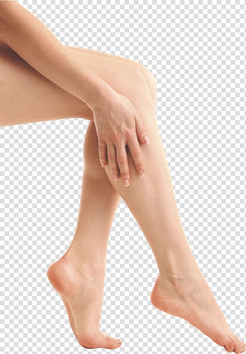leg clipart female leg