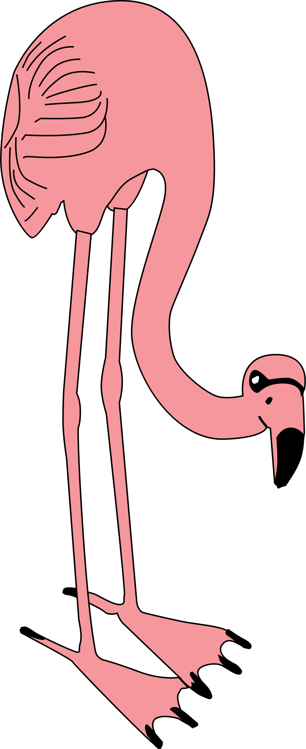 leg clipart flamingo
