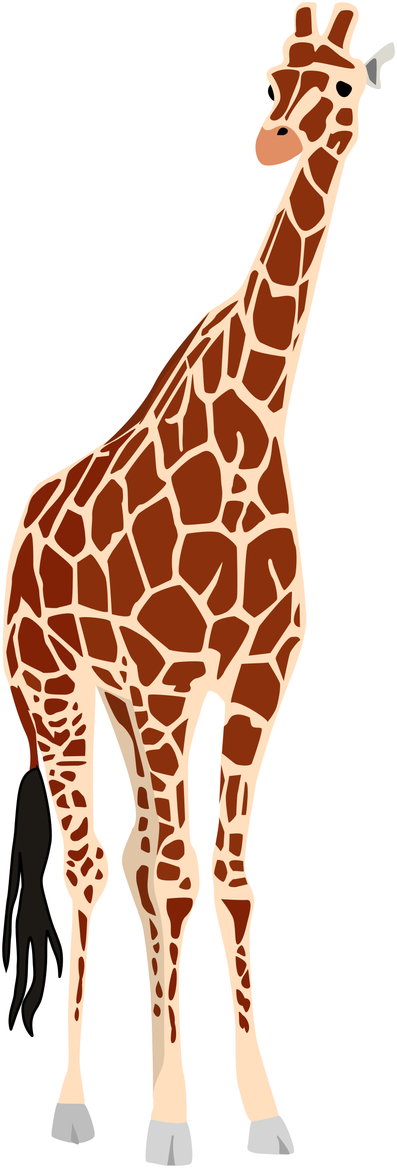 legs clipart giraffe