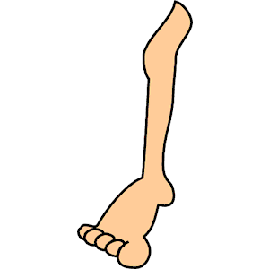 leg clipart left leg