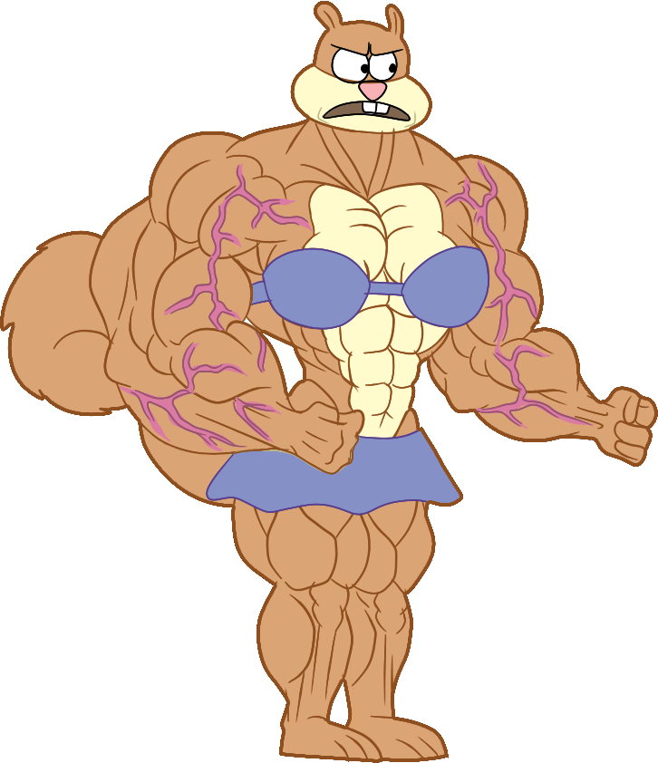 muscle clipart mucles