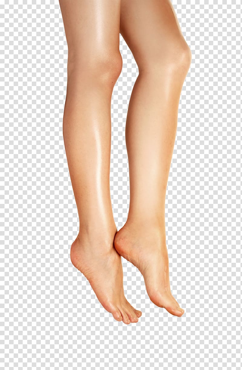 leg clipart transparent background