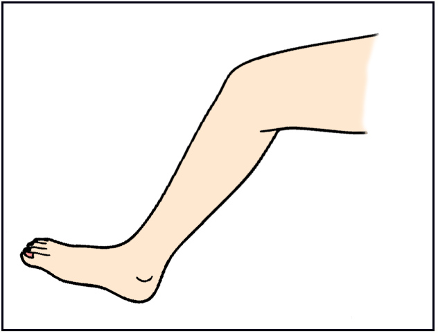 legs clipart clip art