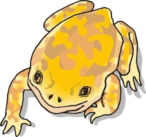 Yellow and frog clip. Toad clipart brown