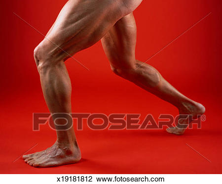 legs clipart man's