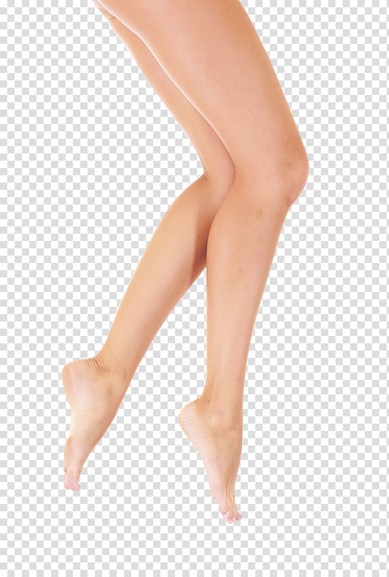 legs clipart womens leg