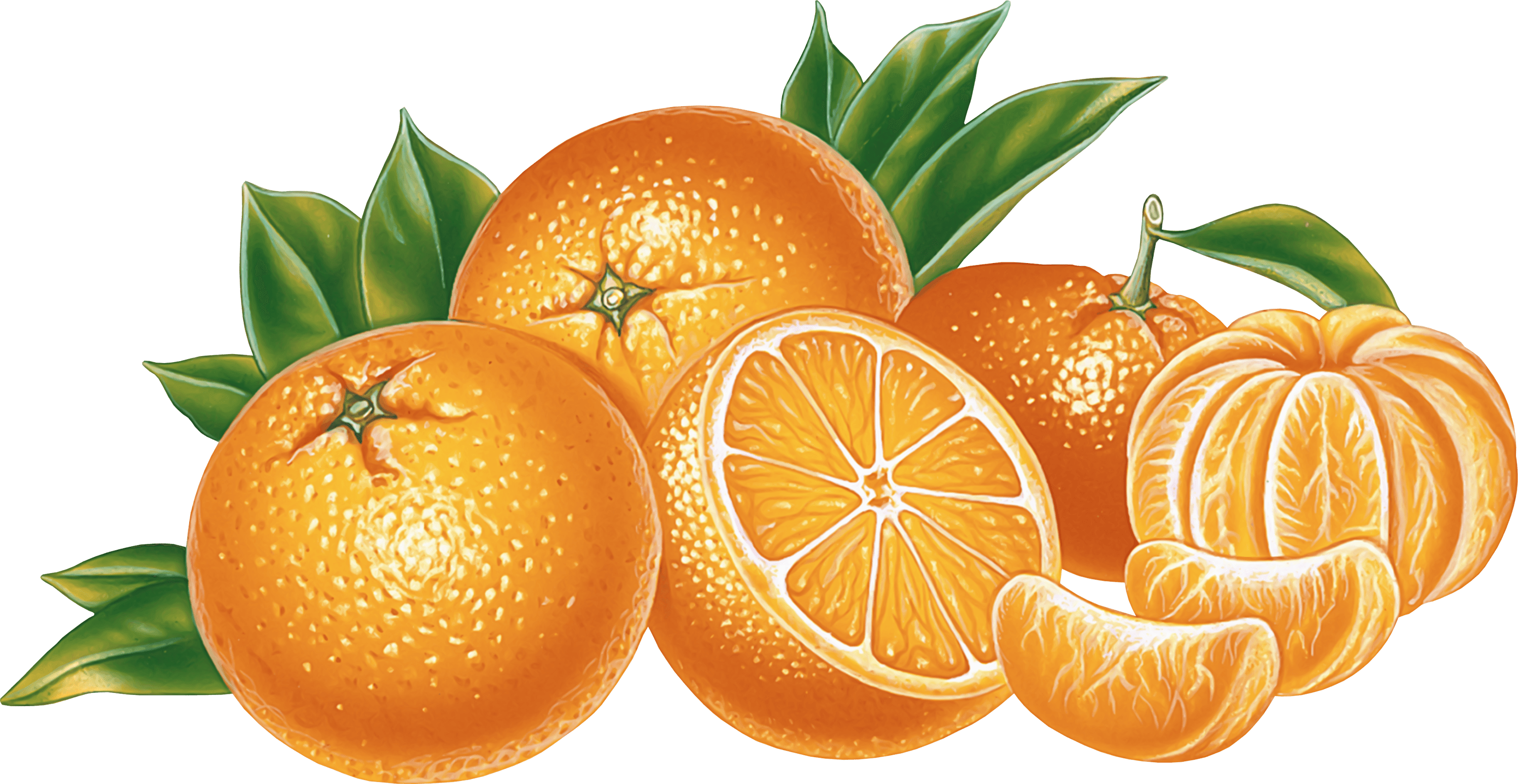 oranges clipart email
