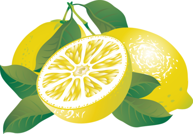 lemon clipart citrus