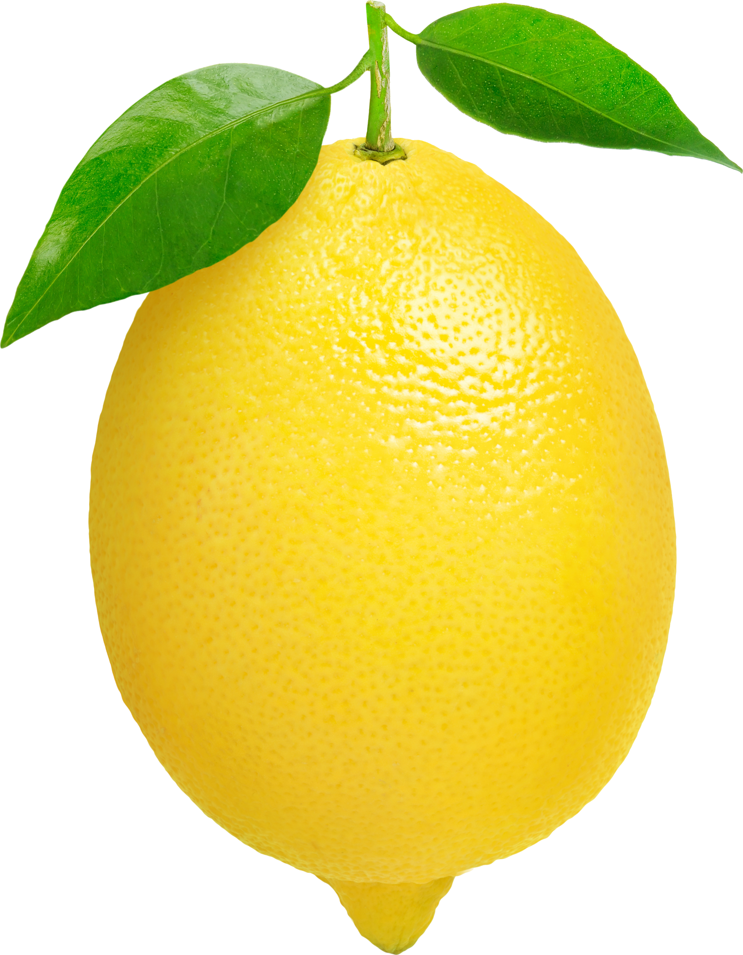 lemons clipart clip art