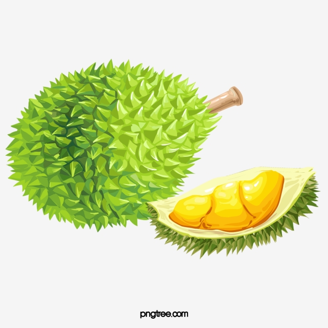 lemons clipart durian fruit
