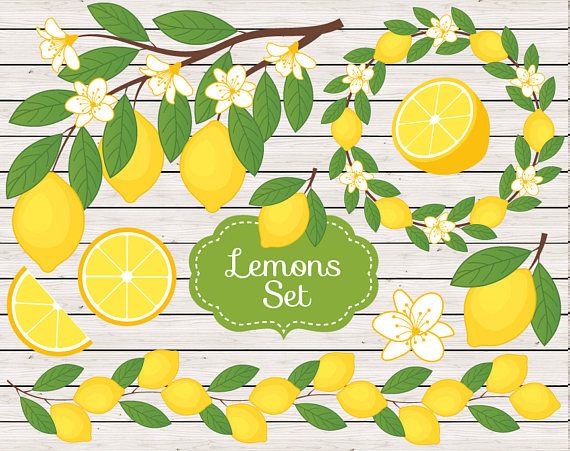 lemon clipart file