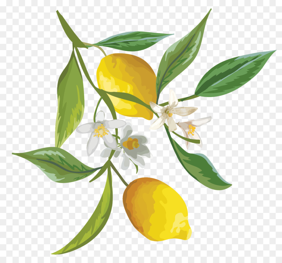 lemon clipart flower