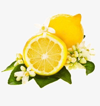lemon clipart flower