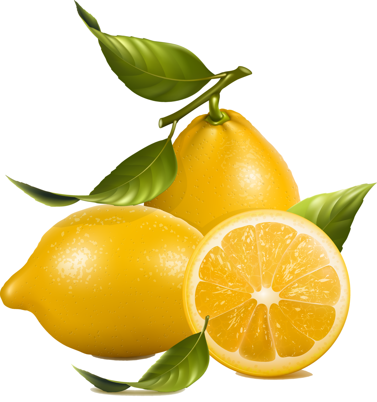 Lemon clipart homemade lemonade. B dc fe e