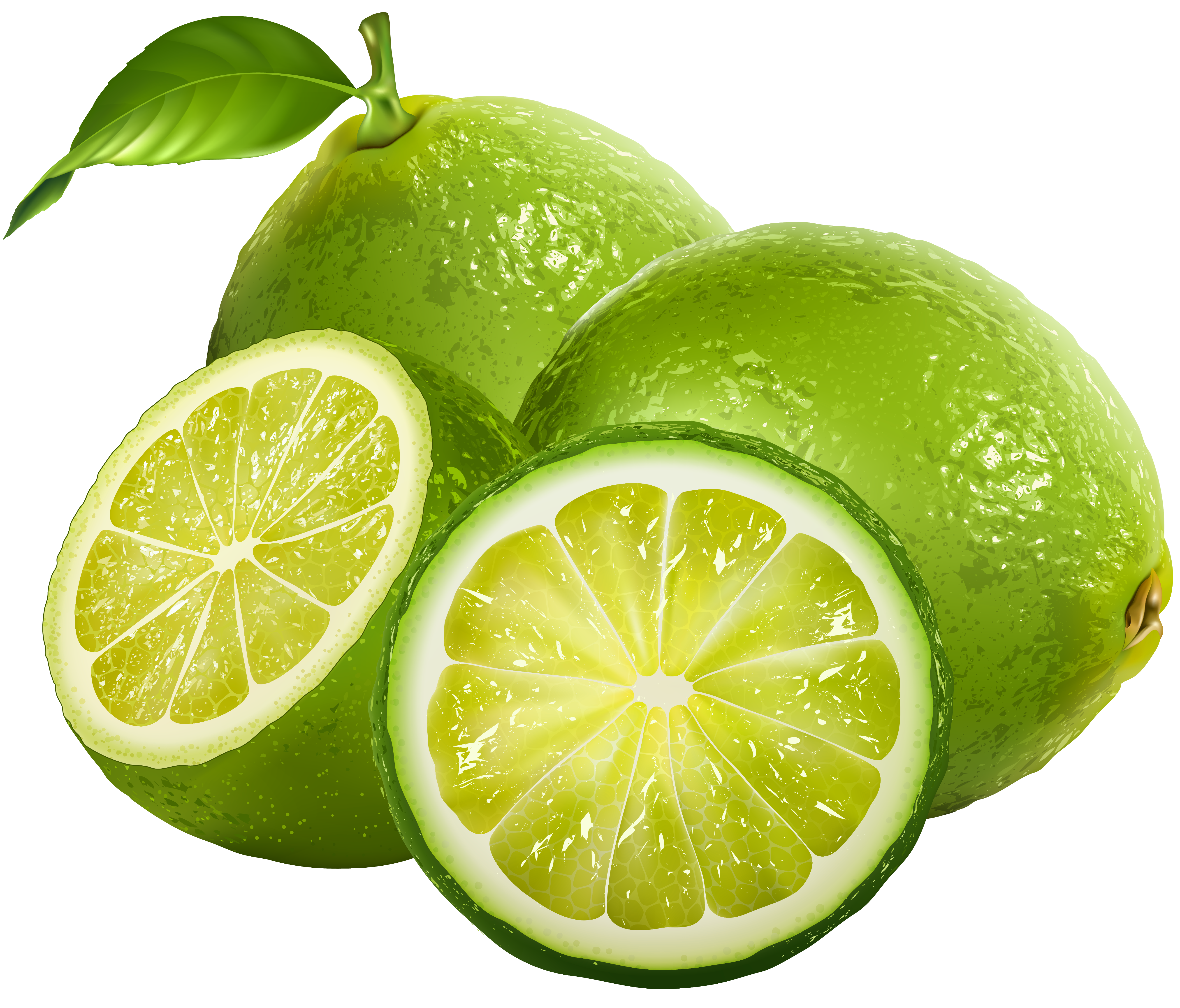  collection of free. Lime clipart kalamansi