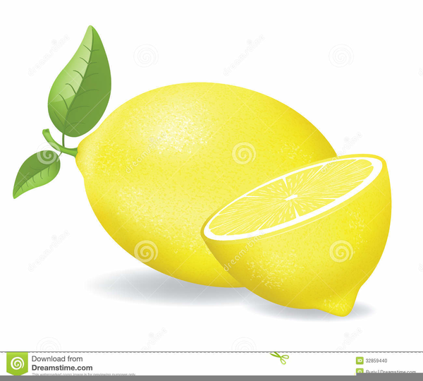 lemon clipart large