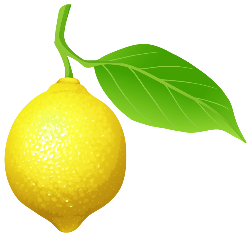 Lemon Tree Cartoon PNG
