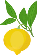 Search results for clip. Lemon clipart single