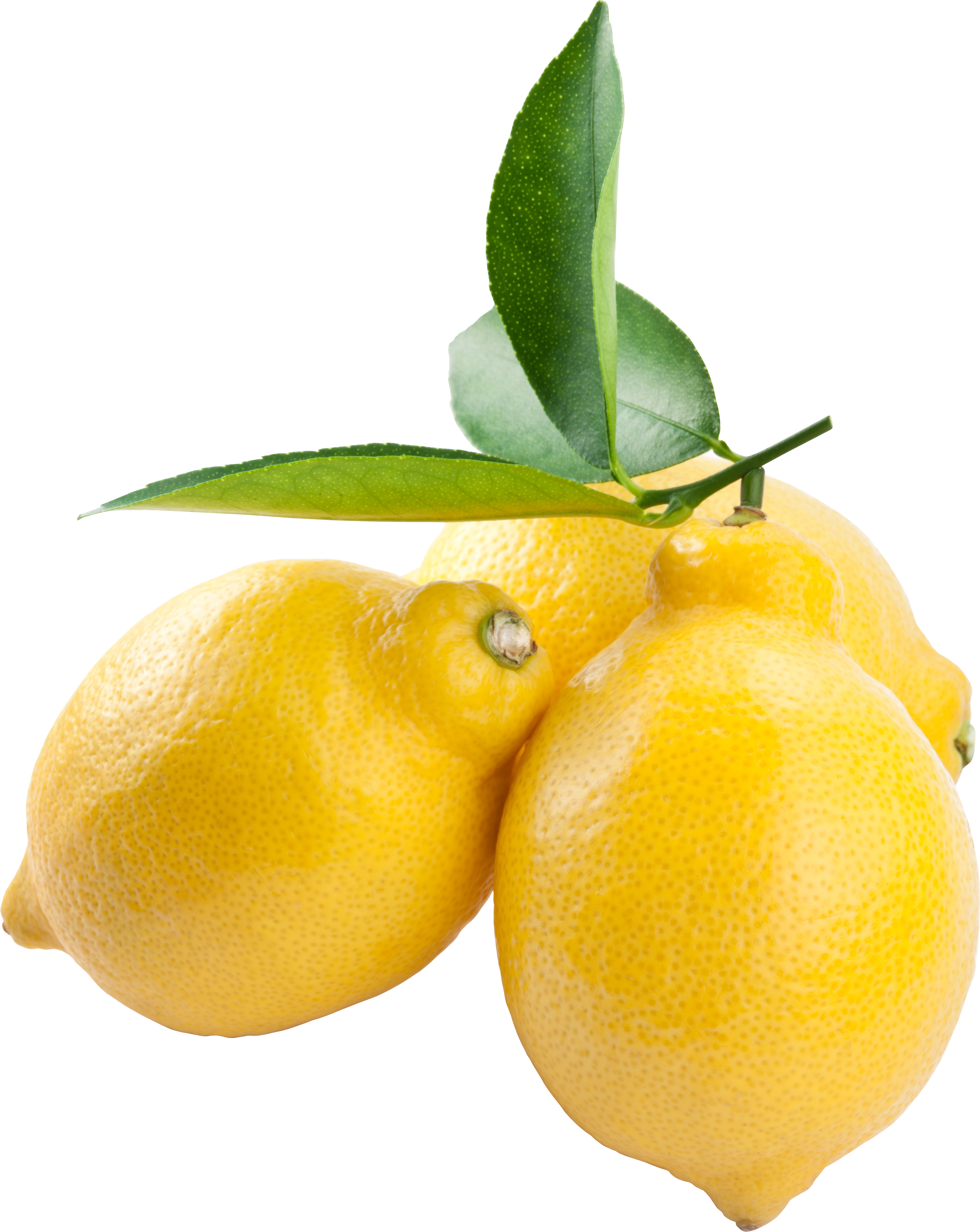 lemon clipart sour food