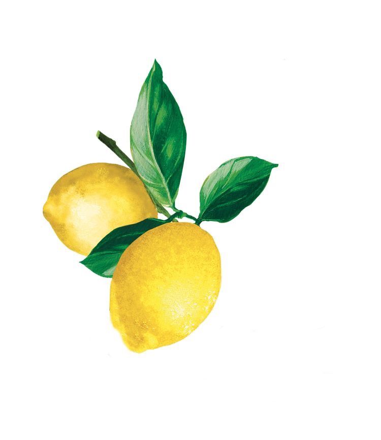lemon clipart vine