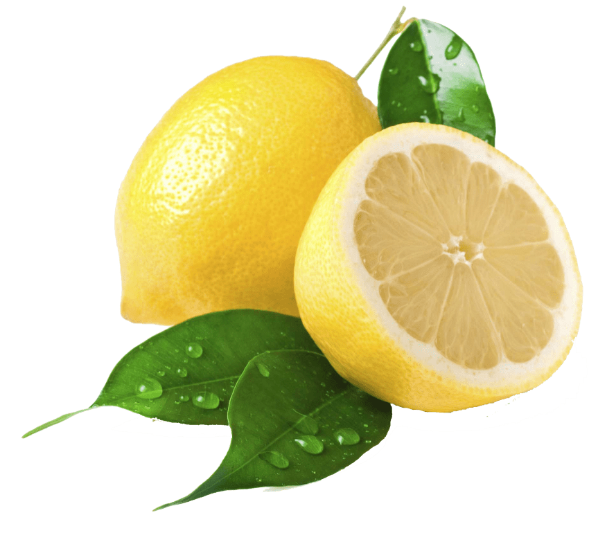 lemons clipart lemon leaf