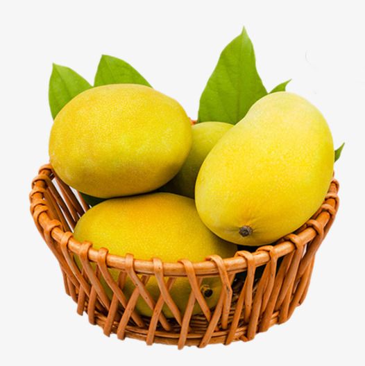 mango clipart basket mango