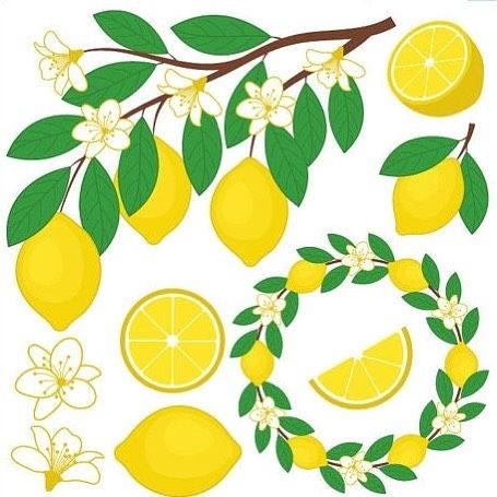 lemons clipart branch