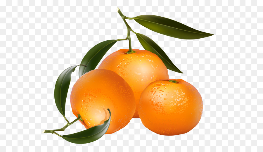 Oranges clipart lemons. Lemon illustration fruit 