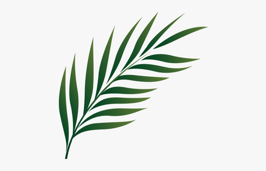 lent clipart palm leaf