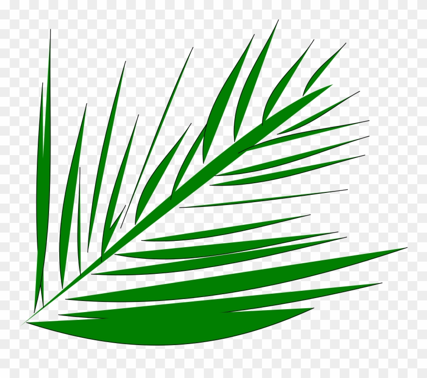 palm clipart lent
