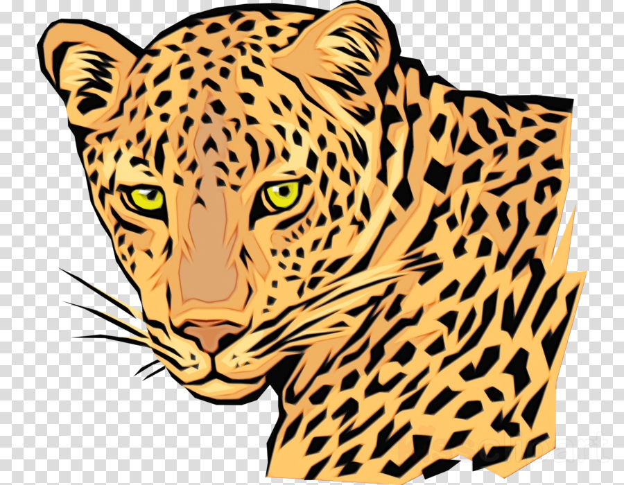 Free 65 Png Transparent Cheetah Print Svg Free SVG PNG EPS DXF File