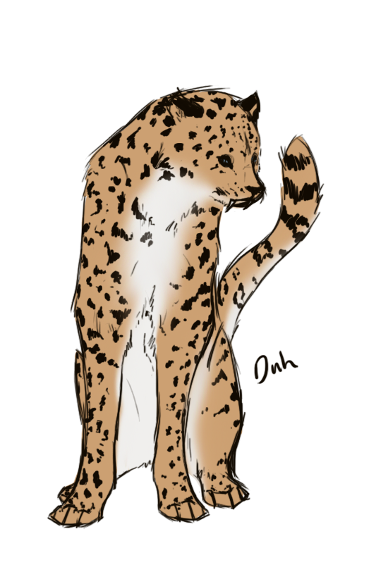 leopard clipart amur leopard