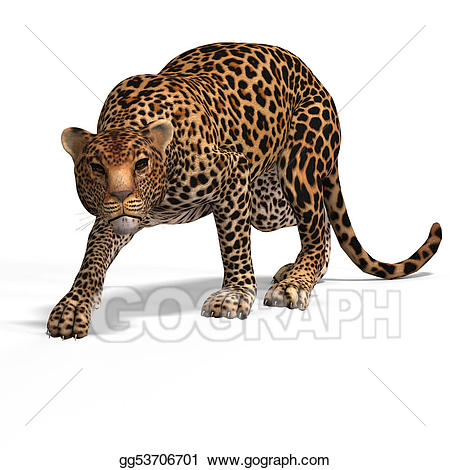 leopard clipart big cat