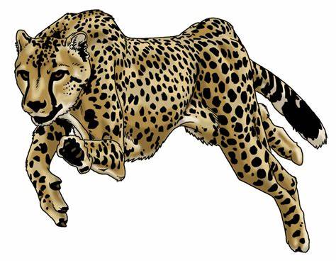 X free clip art. Leopard clipart cheetah run