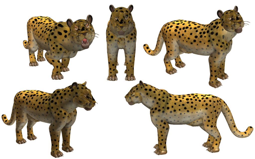 Leopard chettah
