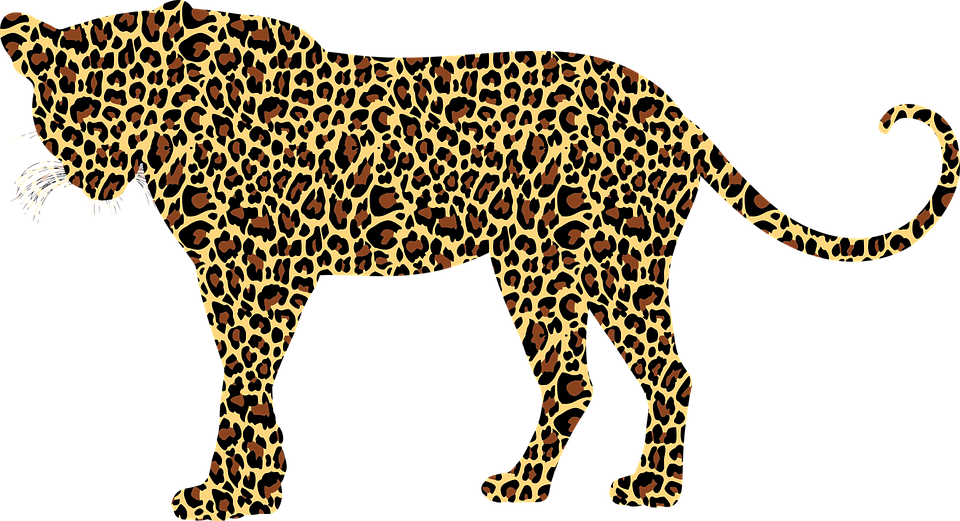 Leopard clipart claw, Leopard claw Transparent FREE for download on