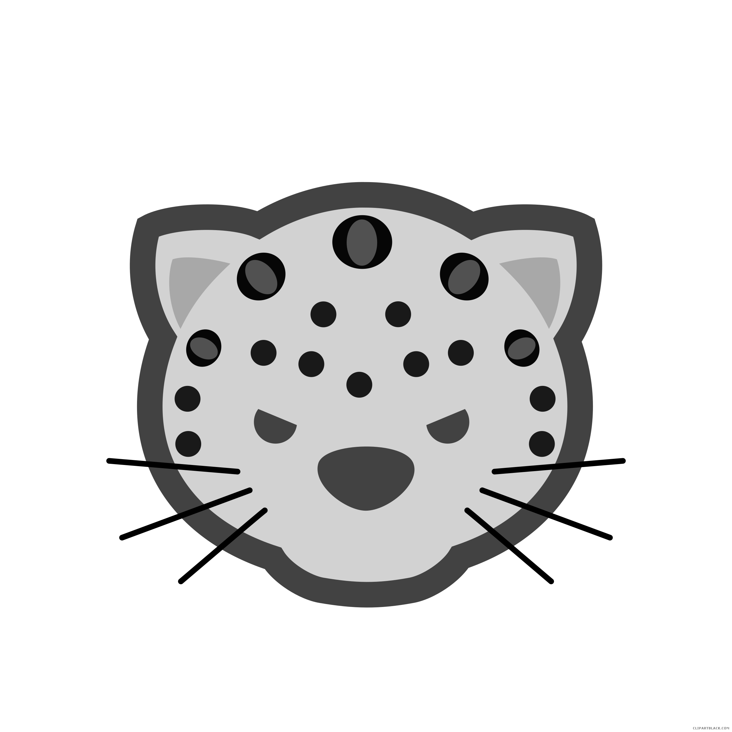 Download Leopard clipart color, Leopard color Transparent FREE for ...