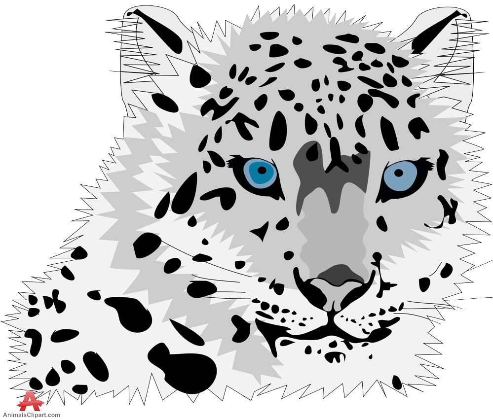 leopard clipart eyes