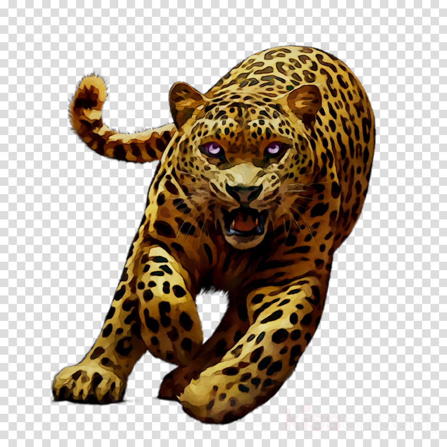 Leopard clipart jaguar animal, Leopard jaguar animal Transparent FREE