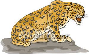 leopard clipart kid