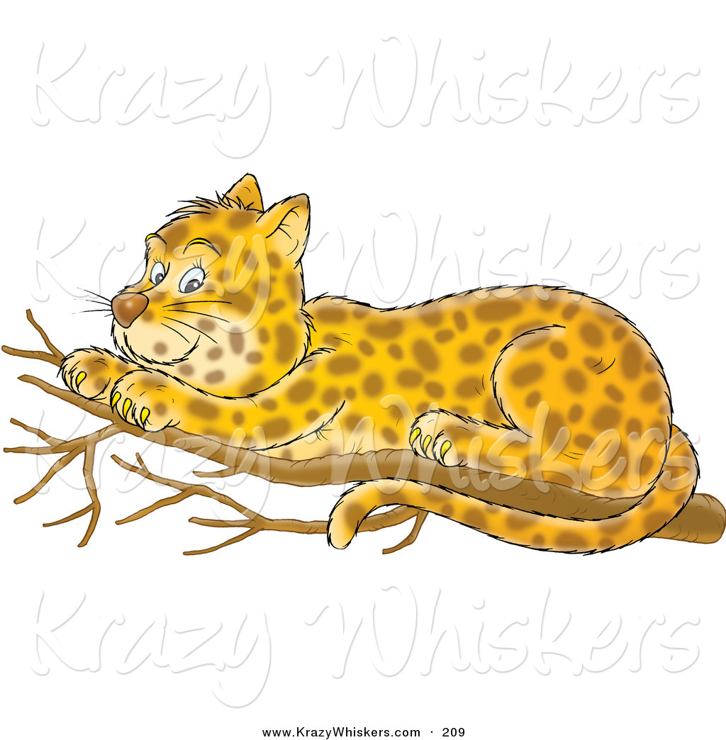 leopard clipart leopard cub