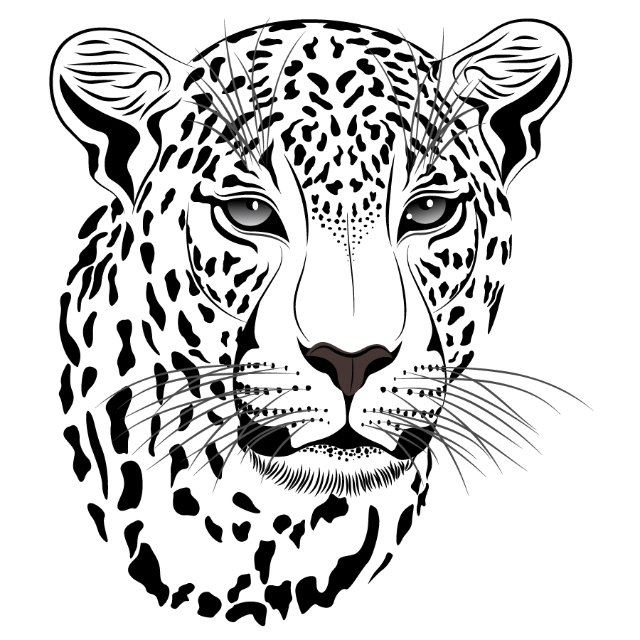 leopard clipart leopard face