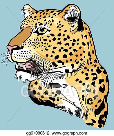 Leopard clipart leopard head. Vector illustration 