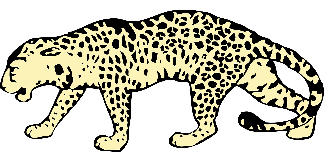 leopard clipart leopard spot
