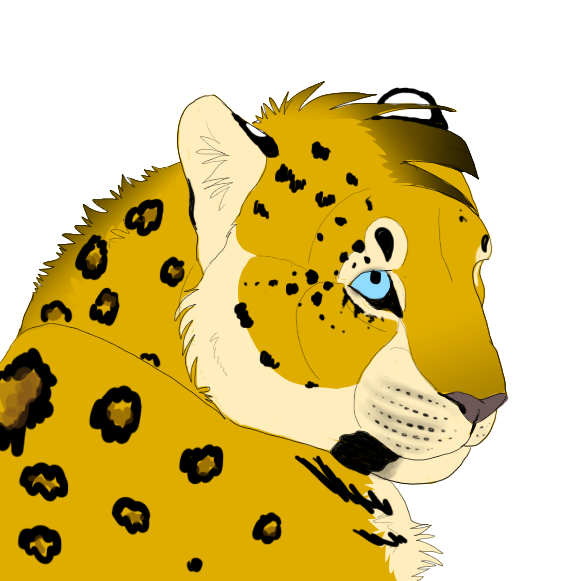 Free Free 72 Transparent Cheetah Print Svg Free SVG PNG EPS DXF File