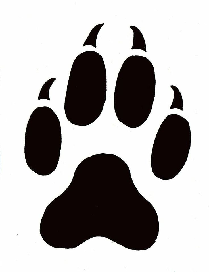 Lion paw print clip. Wildcat clipart wolverine