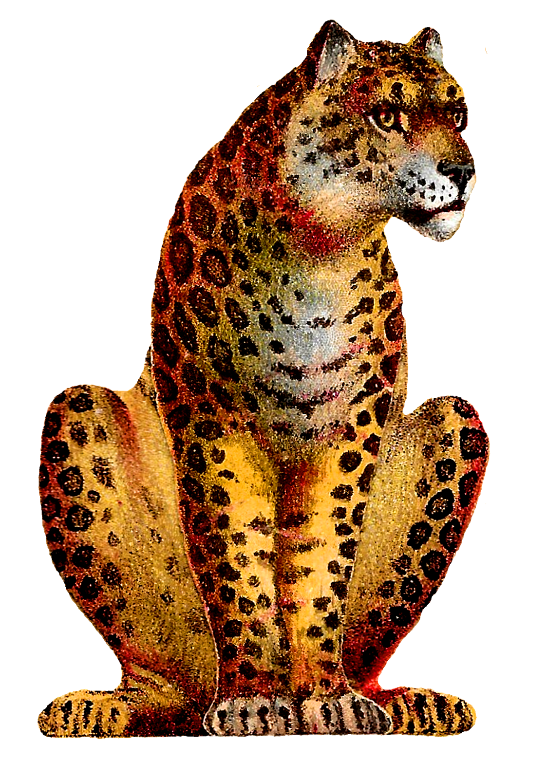 leopard clipart orange