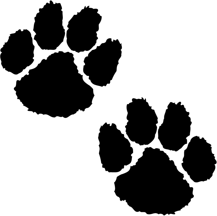 Download Paws Clipart Leopard Paws Leopard Transparent Free For Download On Webstockreview 2021 SVG, PNG, EPS, DXF File