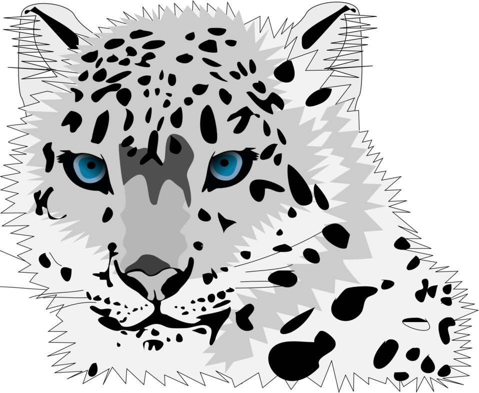 leopard clipart public domain