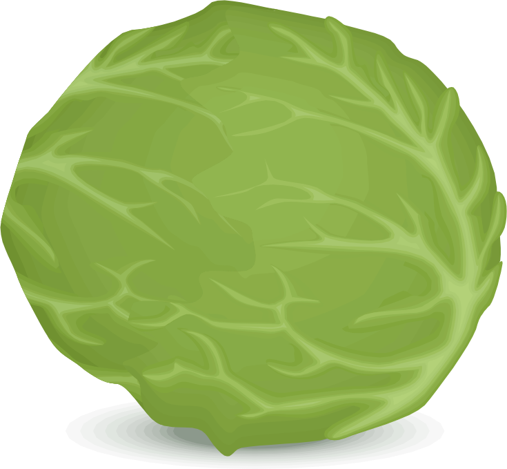 Iceberg medium image png. Lettuce clipart cabbage